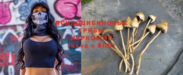 спиды Надым