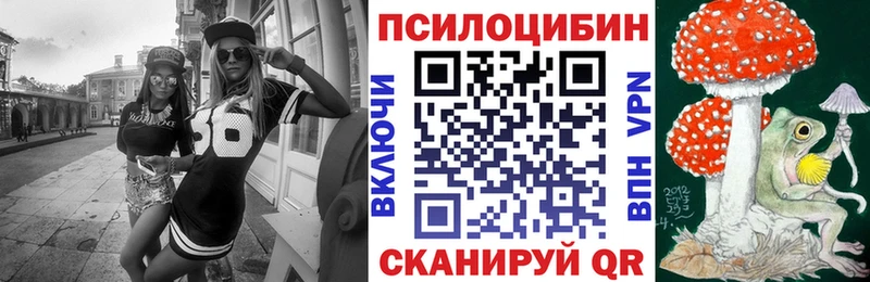 Псилоцибиновые грибы прущие грибы  где купить наркотик  Злынка 