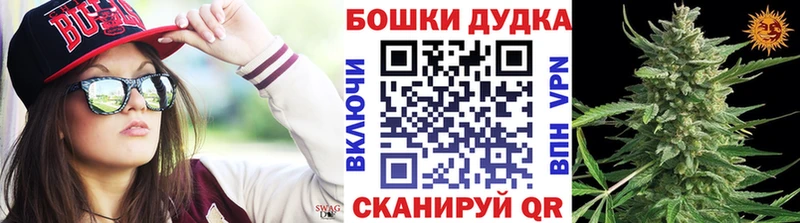 Бошки Шишки AK-47  цены наркотик  Злынка 